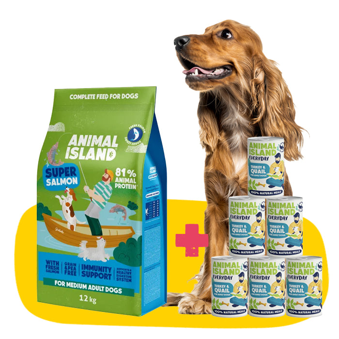 Healthy Skin Without Dandruff Set: Dry Dog Food with Salmon 12kg + Wet Dog Food Turkey Quail 6x400g Everyday