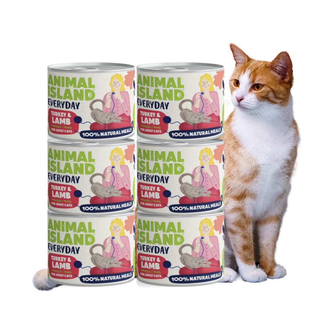 Wet Cat Food Turkey Lamb 6x200g Everyday
