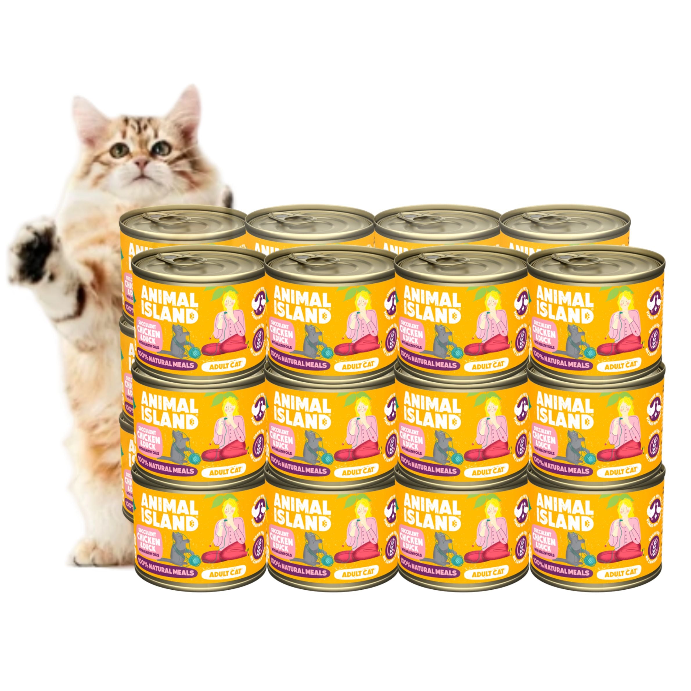 Wet Cat Food Chicken Duck 24x200g