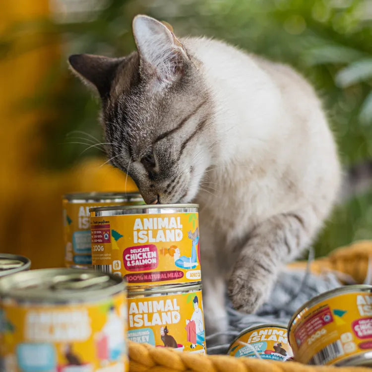Wet Cat Food Chicken Duck 12x200g