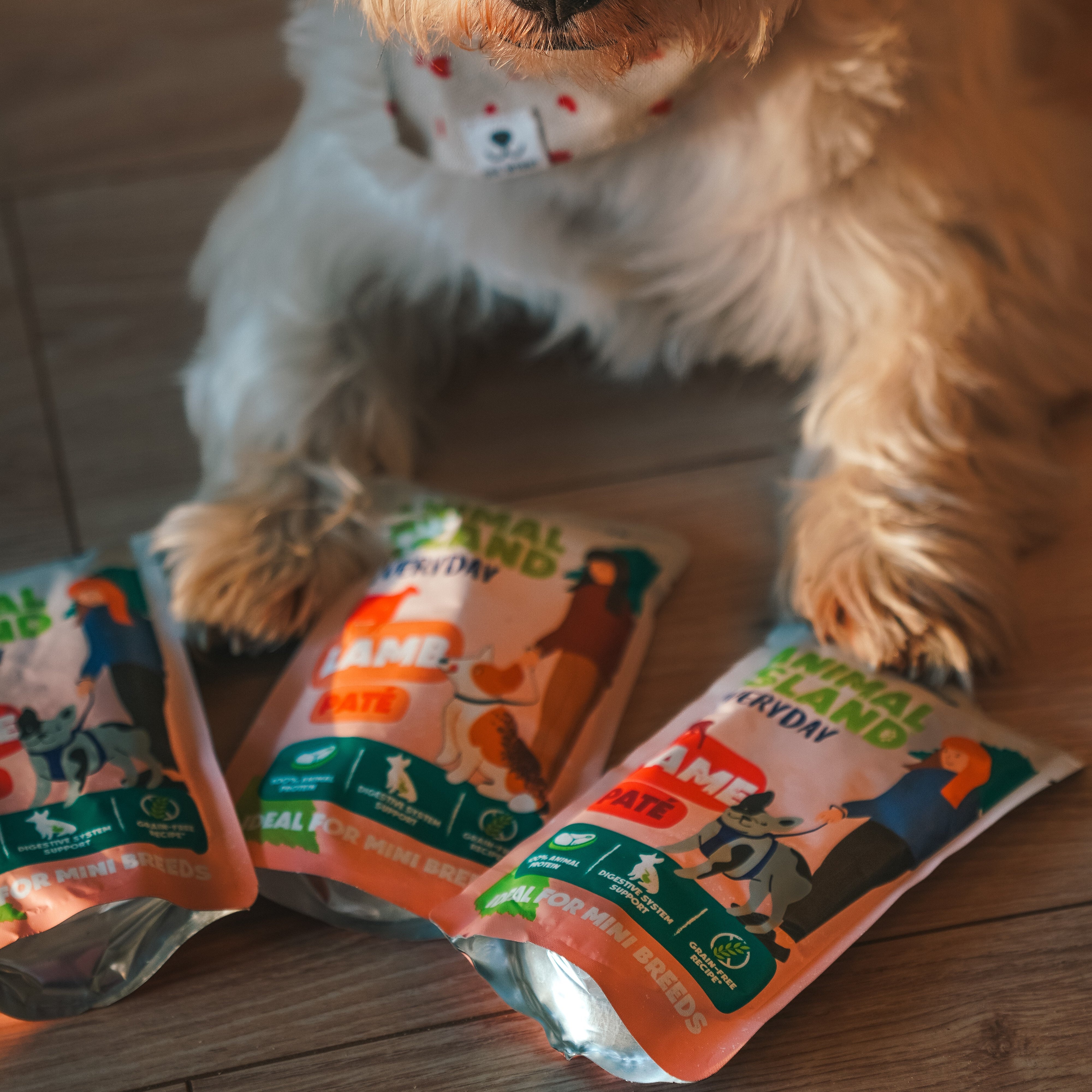 Animal Island – Tropem Smaku: Wołowina + Dziczyzna