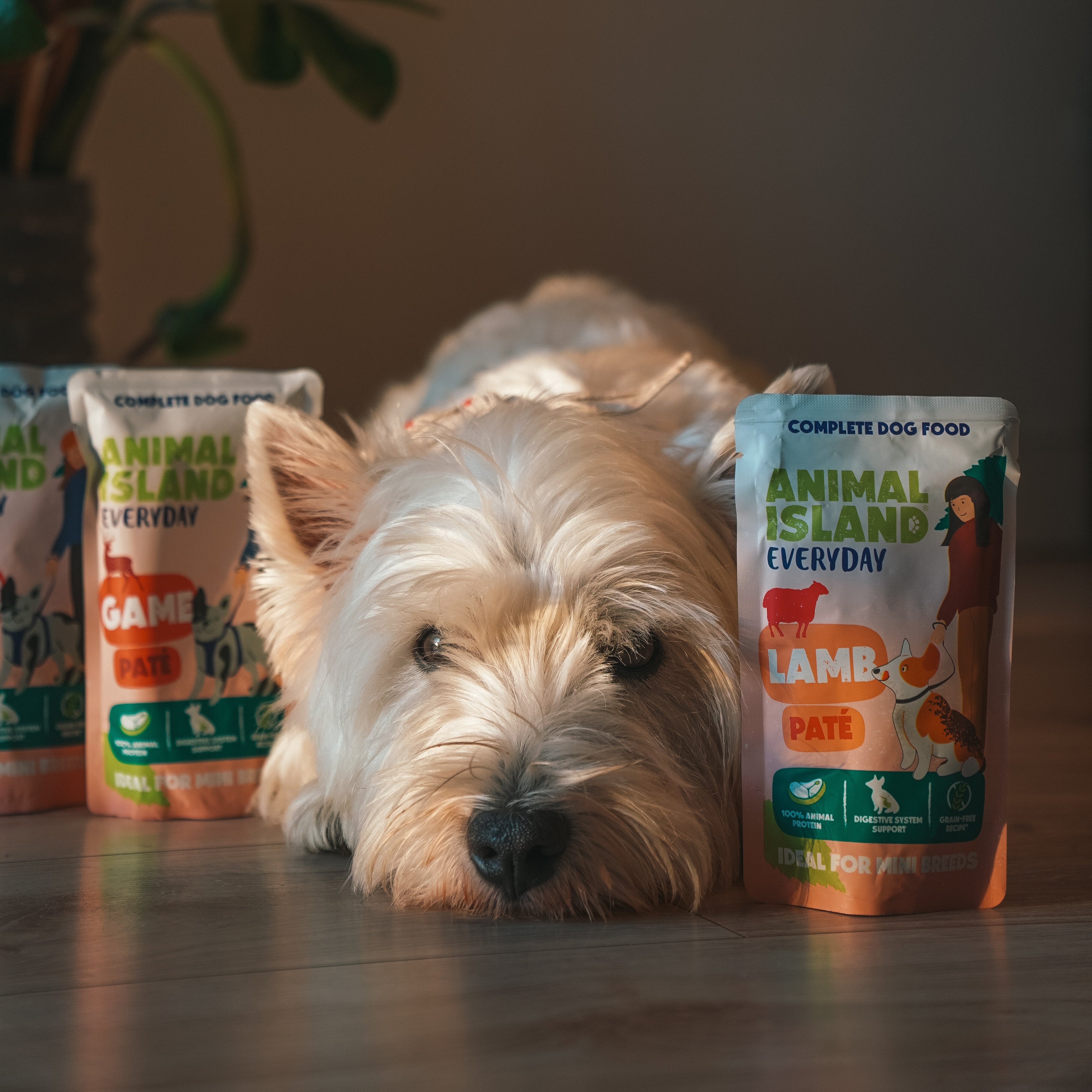 Animal Island – Podróżna Paczka Premium: Łosoś & Mix Smaków
