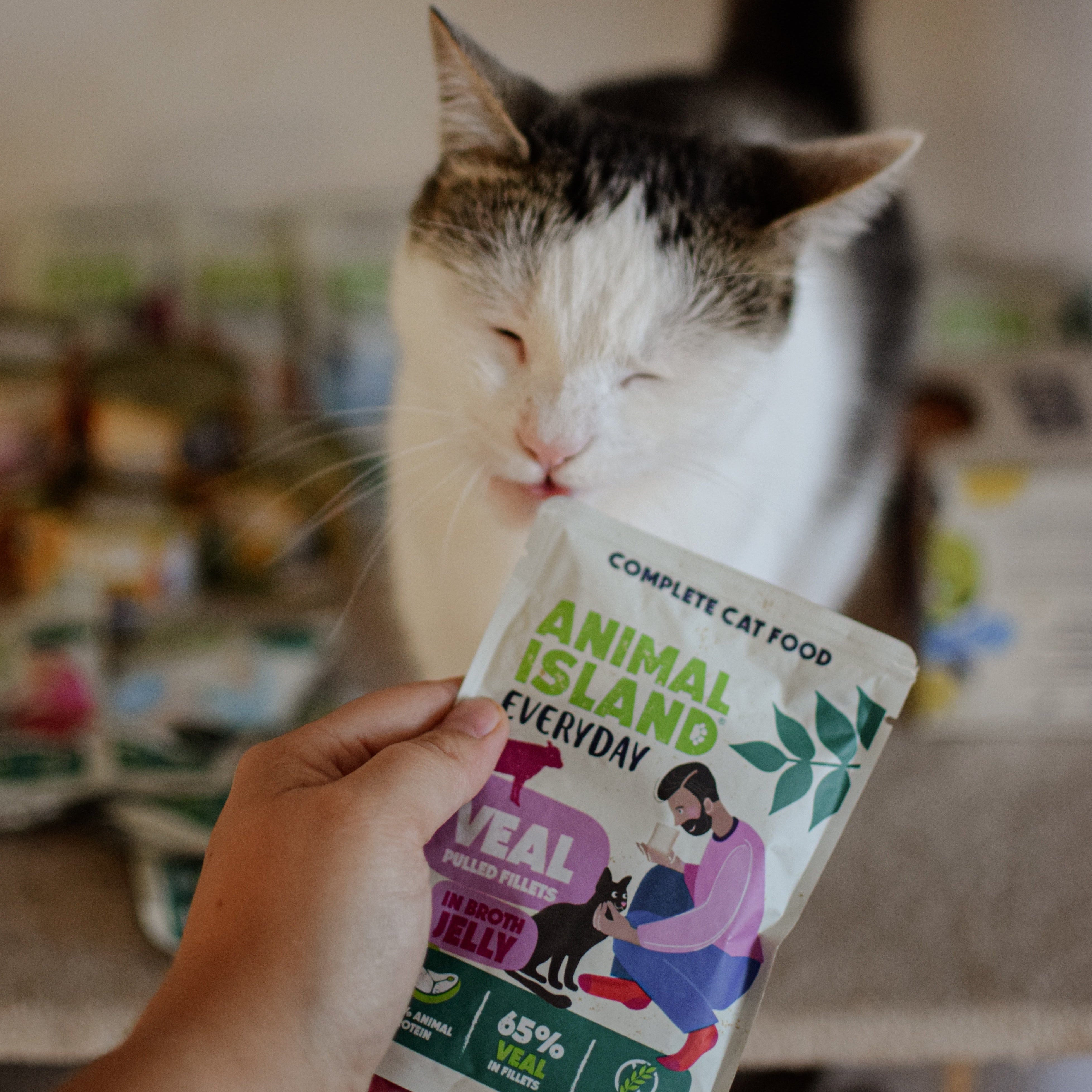 Wet Cat Food 4 pack (4 x 85 g) 2 x poultry with liver, 2 x veal (fillets in jelly) Everyday