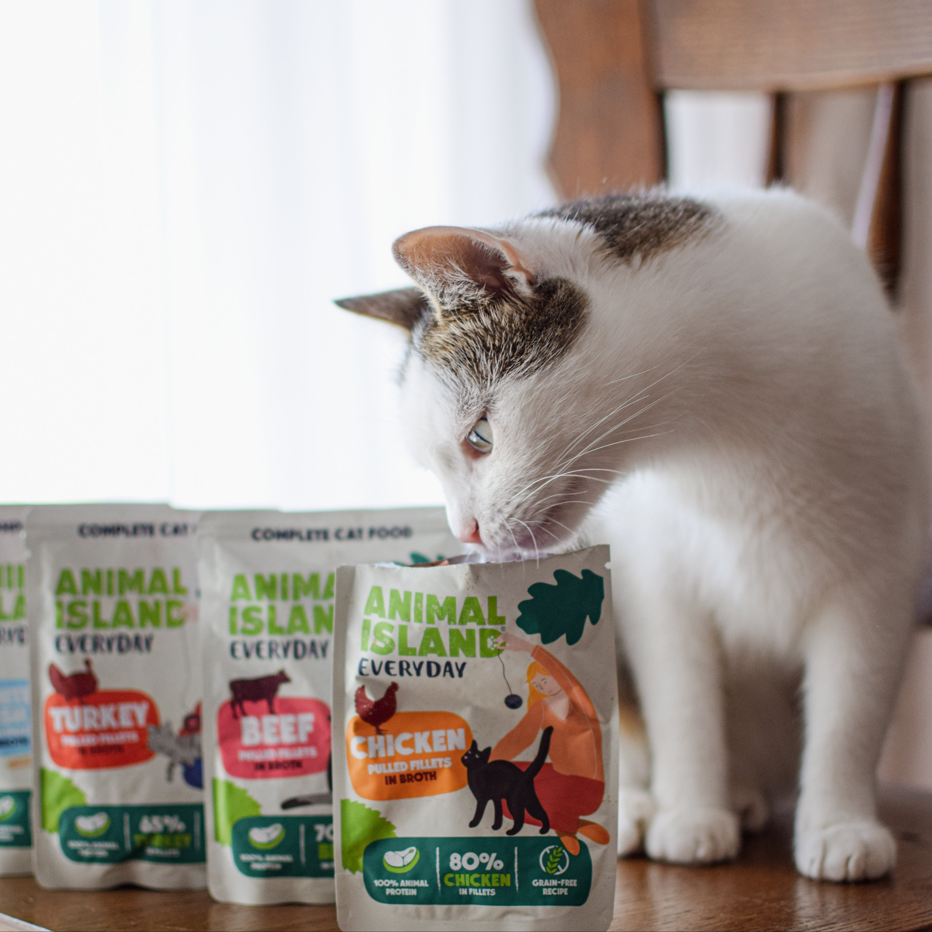 Wet Cat Punishment 4 pack (4 x 85 g) 2 x turkey, 2 x white fish Everyday