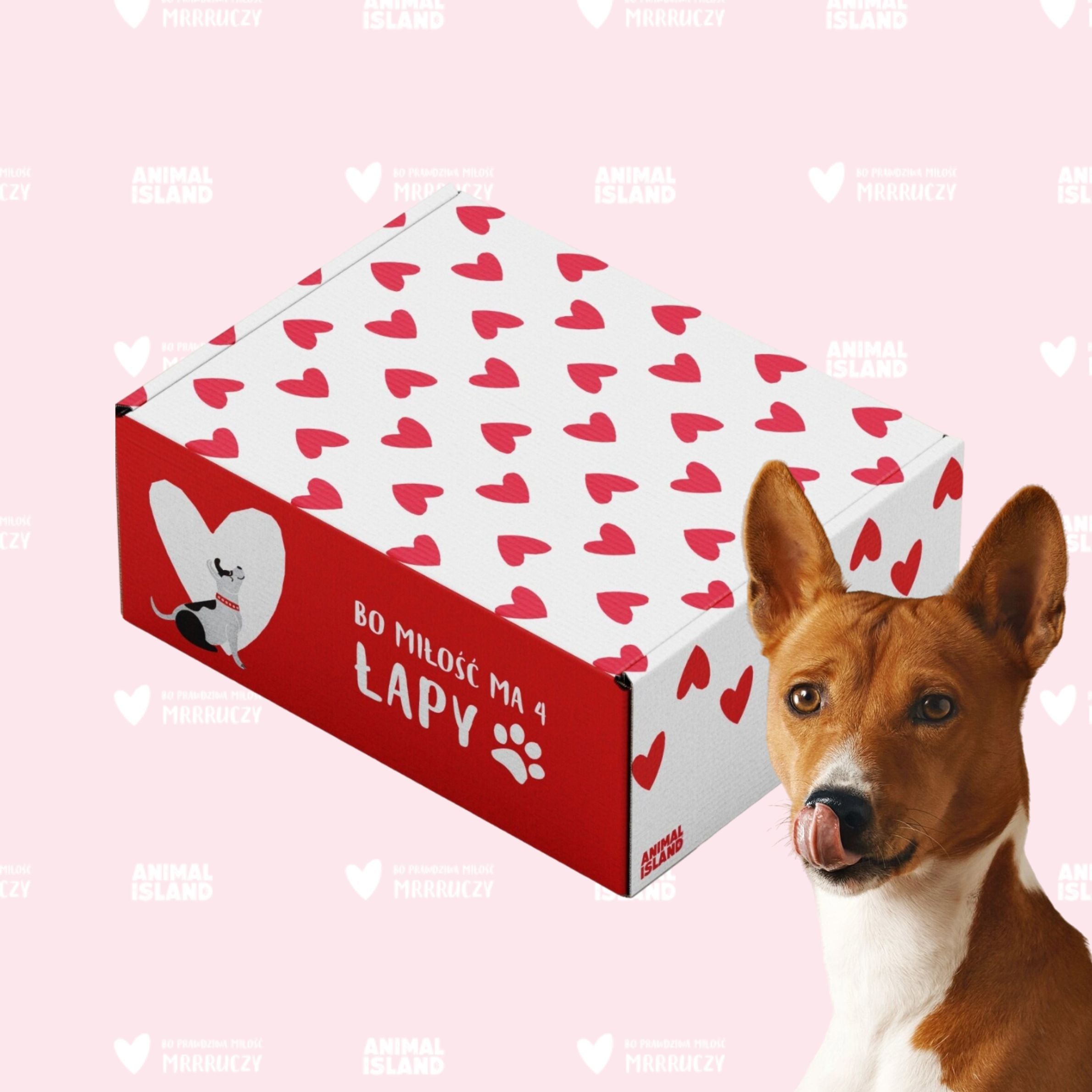 Zestaw Love Box dla psa - Mix (4x indyk/jagnięcina, 4x indyk/przepiórka, 4x indyk/królik)