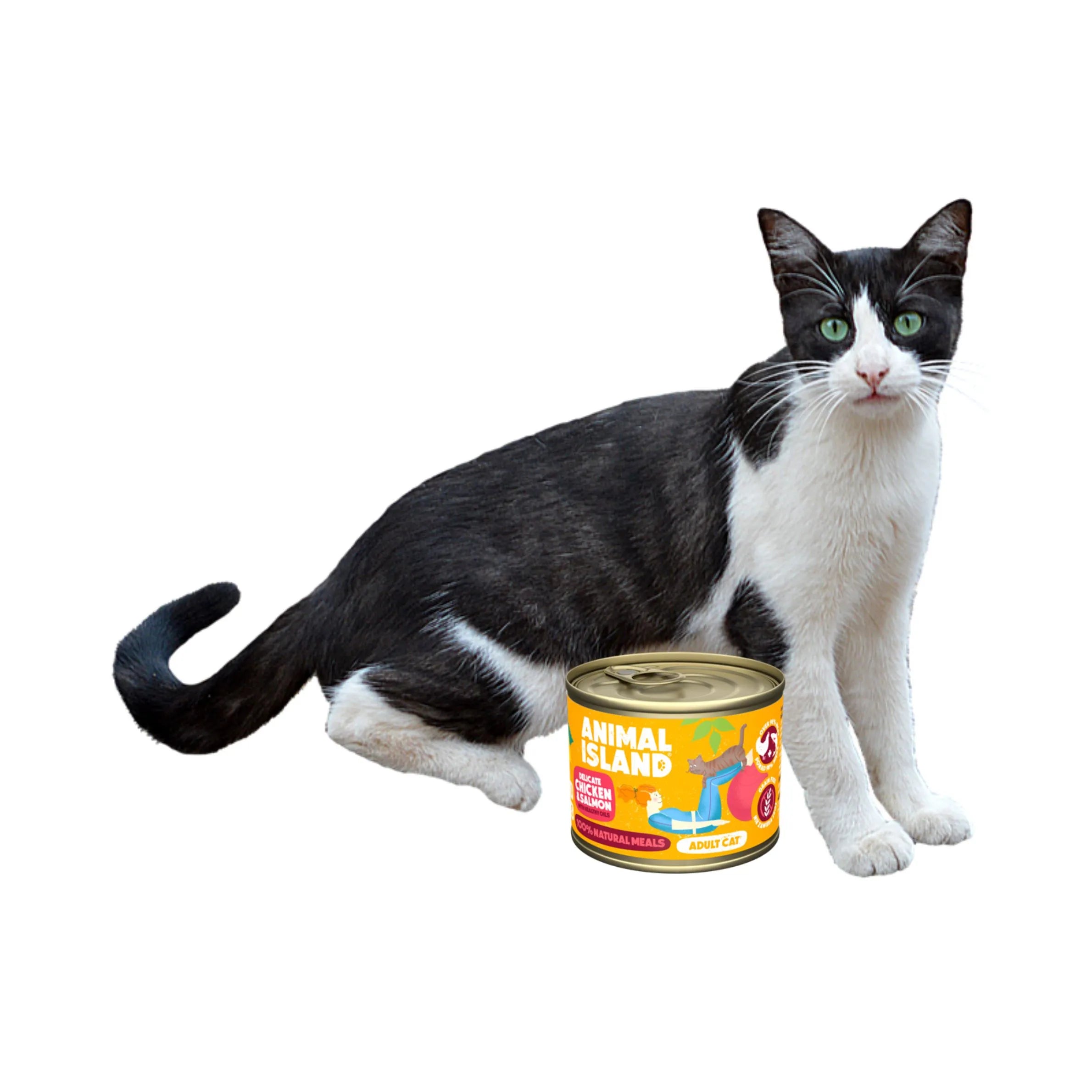 Wet cat food chicken salmon 200g Animal Island