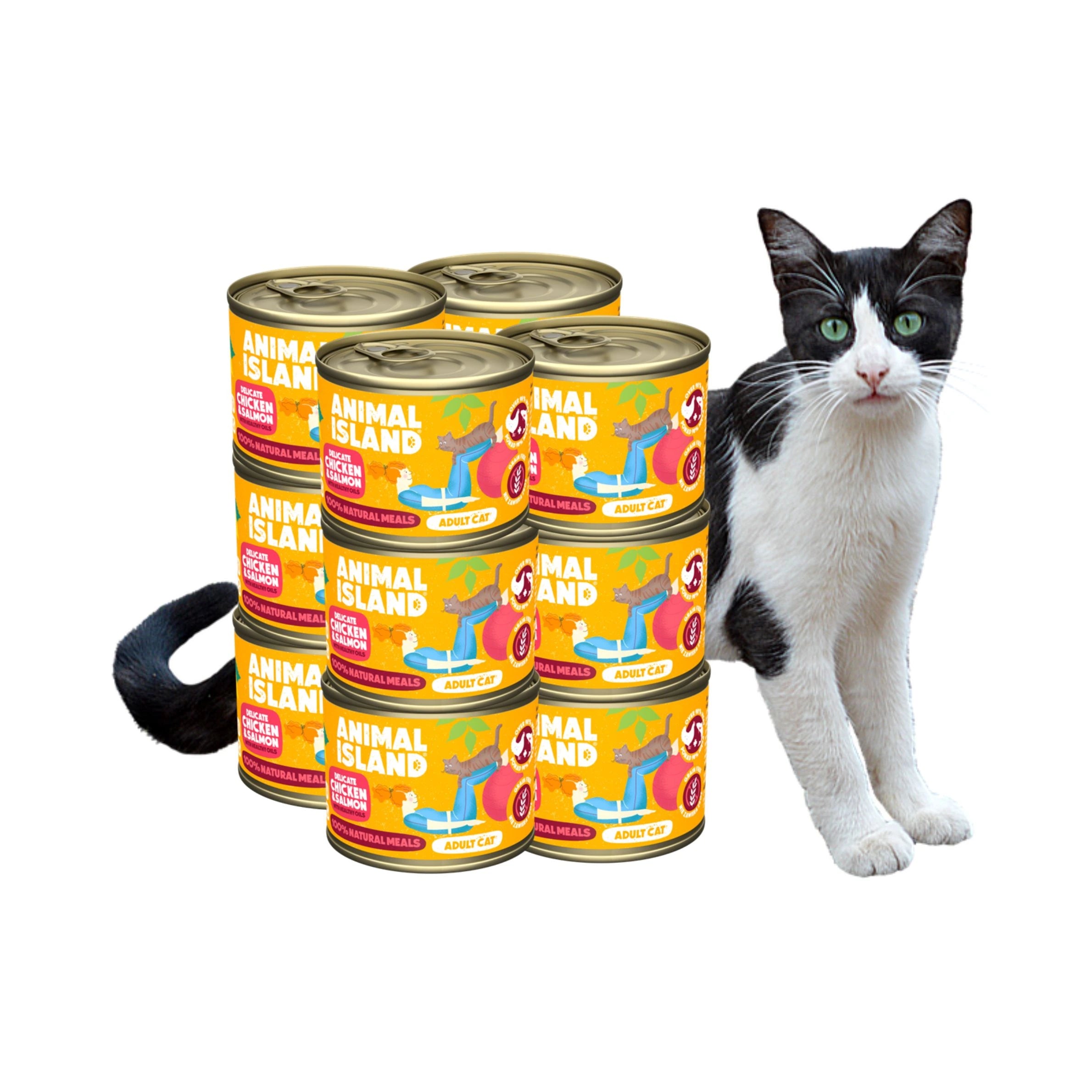 Wet Cat Food Chicken Salmon 12x200g