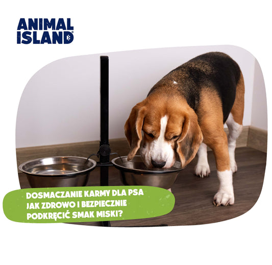 DOSMACZANIE KARMY DLA PSA – JAK ZDROWO I BEZPIECZNIE PODKRĘCIĆ SMAK MISKI?