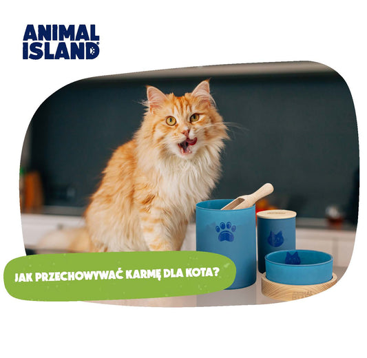 JAK PRZECHOWYWAĆ KARMĘ DLA KOTA?