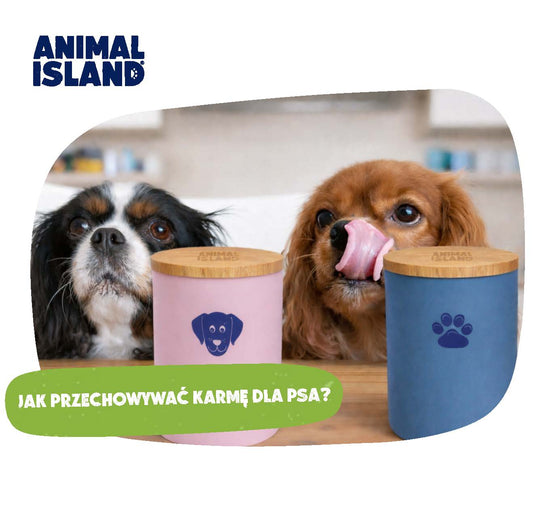 JAK PRZECHOWYWAĆ KARMĘ DLA PSA?