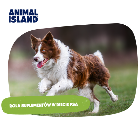 ROLA SUPLEMENTÓW W DIECIE PSA