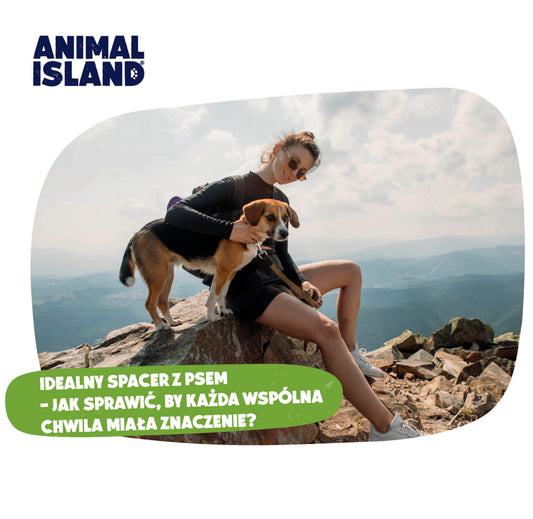 IDEALNY SPACER Z PSEM – JAK SPRAWIĆ, BY KAŻDA WSPÓLNA CHWILA MIAŁA ZNACZENIE?