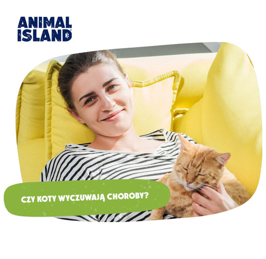 Czy koty wyczuwają choroby? Kobieta chora z kotkiem