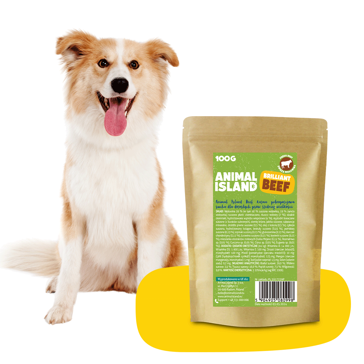 Dry Dog Food Beef 100g