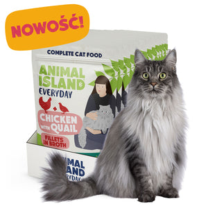 Mokra Karma dla Kota 85g (12szt) Fileciki w Rosole - Kurczak/Przepiórka