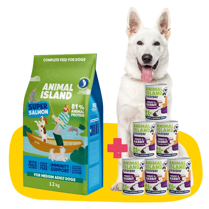 Healthy Skin Without Dandruff Set: Dry food with salmon 12kg + wet food from the Everyday line turkey/rabbit 6x400g