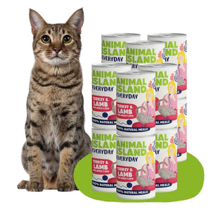 Mokra karma dla Kota indyk jagnięcina 12x400g Everyday