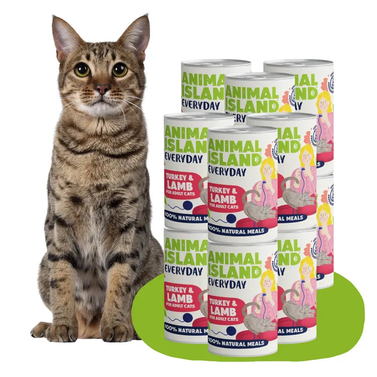 Mokra karma dla Kota indyk jagnięcina 12x400g Everyday
