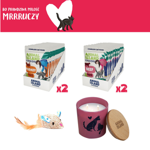 LOVE Box set for cats - pate sachets 2x (12pcs turkey / 12pcs beef, 48 pcs)