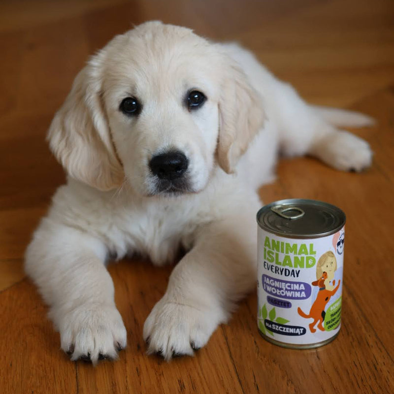 ,,ZESTAW GŁODOMORA'' - zestaw mokrej karmy dla szczeniąt (3×185 g) + GRATISY!