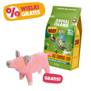 🐾 Zestaw Brilliant Beef + Świnka GRATIS! | Bezzbożowa karma wołowa 12 kg