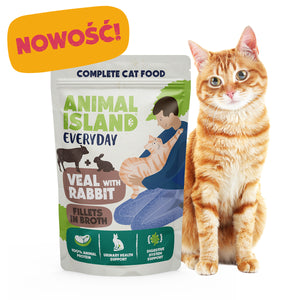 Mokra Karma dla Kota Cielęcina/Królik 85G