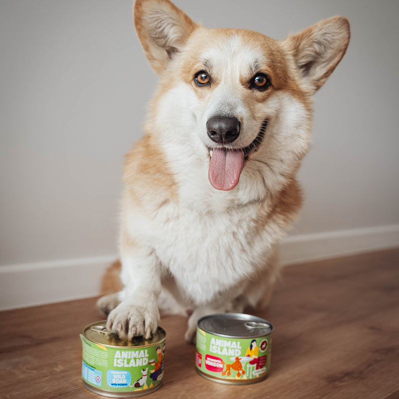 Wet dog food mix of flavors 6x400g Animal Island