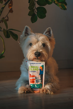 Animal Island Everyday –  10 saszetek Pasztetu z Dziczyzną + Talerzyk GRATIS