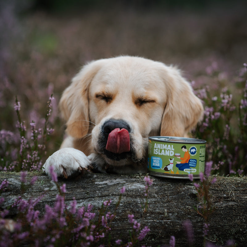 Wet Dog Food Wild Boar with Potatoes 6x410g