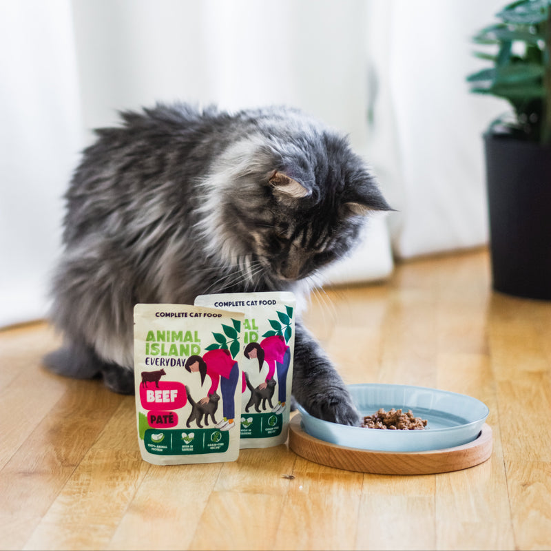 Пакетики для котів EVERYDAY display 12 шт. ЯЛОВИЧИЙ ПАШТЕТ 