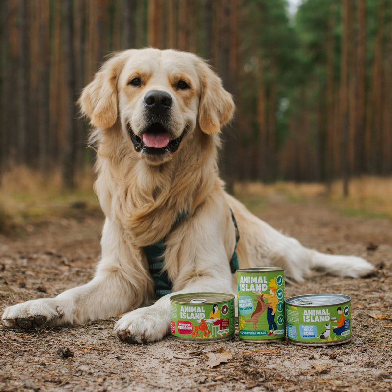 Wet dog food mix of flavors 12x410 g Animal Island