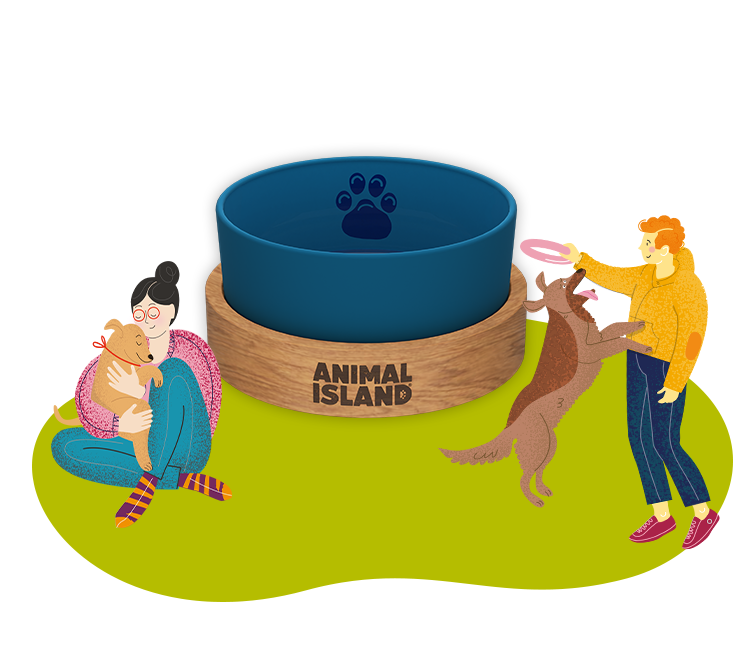 Miska dla Psa, rozmiar S 900ml, Deep Sea Blue, Animal Island
