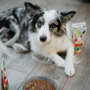 Animal Island BOX – Mokra karma dla psa, fileciki z indyka i wołowiny w rosole, 8 x 150 g