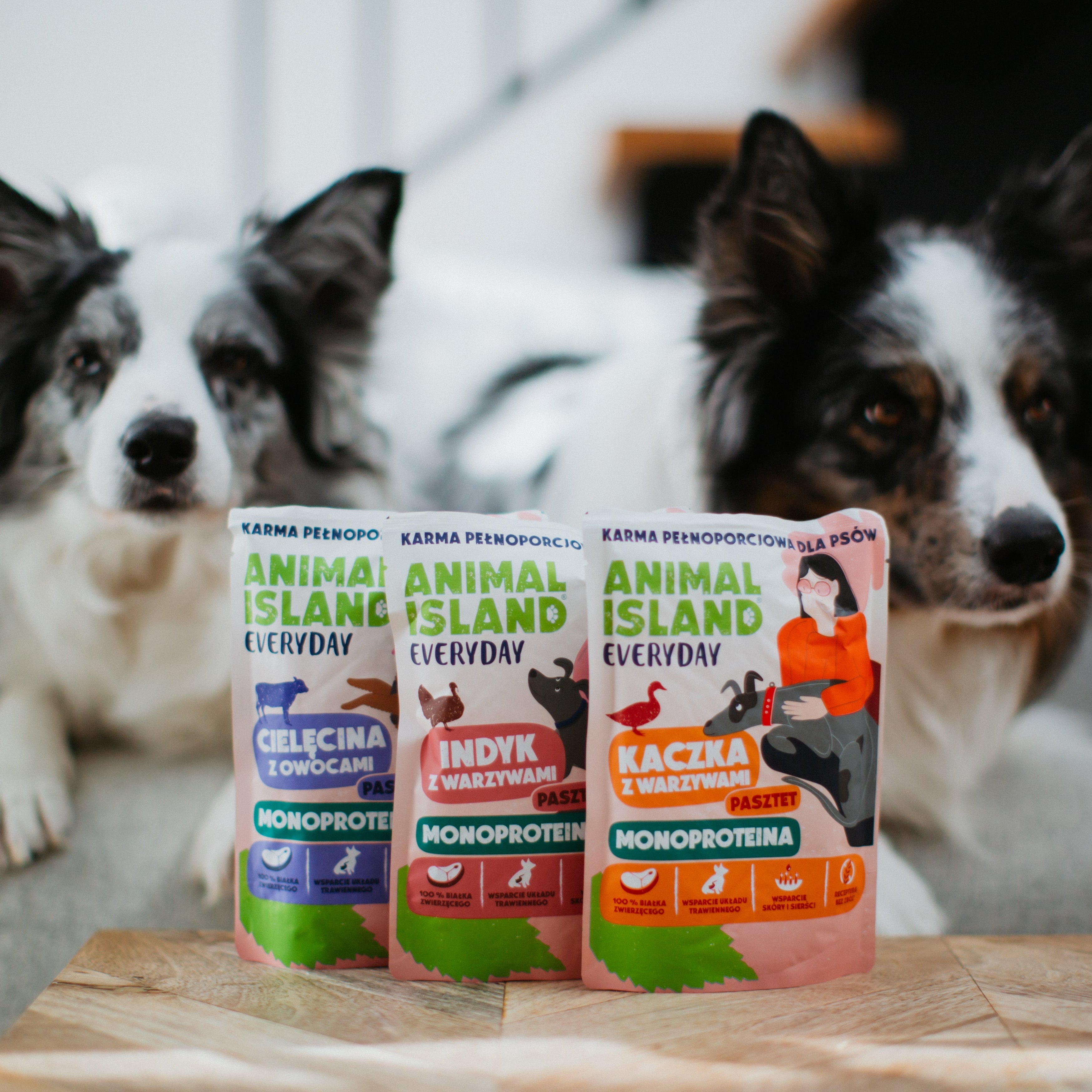 Animal Island Everyday Monoproteina MIX – Display 9 × 300 g