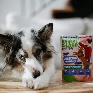 Animal Island Everyday Monoproteina Cielęcina – Display 9×300 g