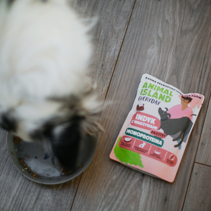 Animal Island Everyday Monoproteina Indyk 300 g – pasztet z warzywami dla psa