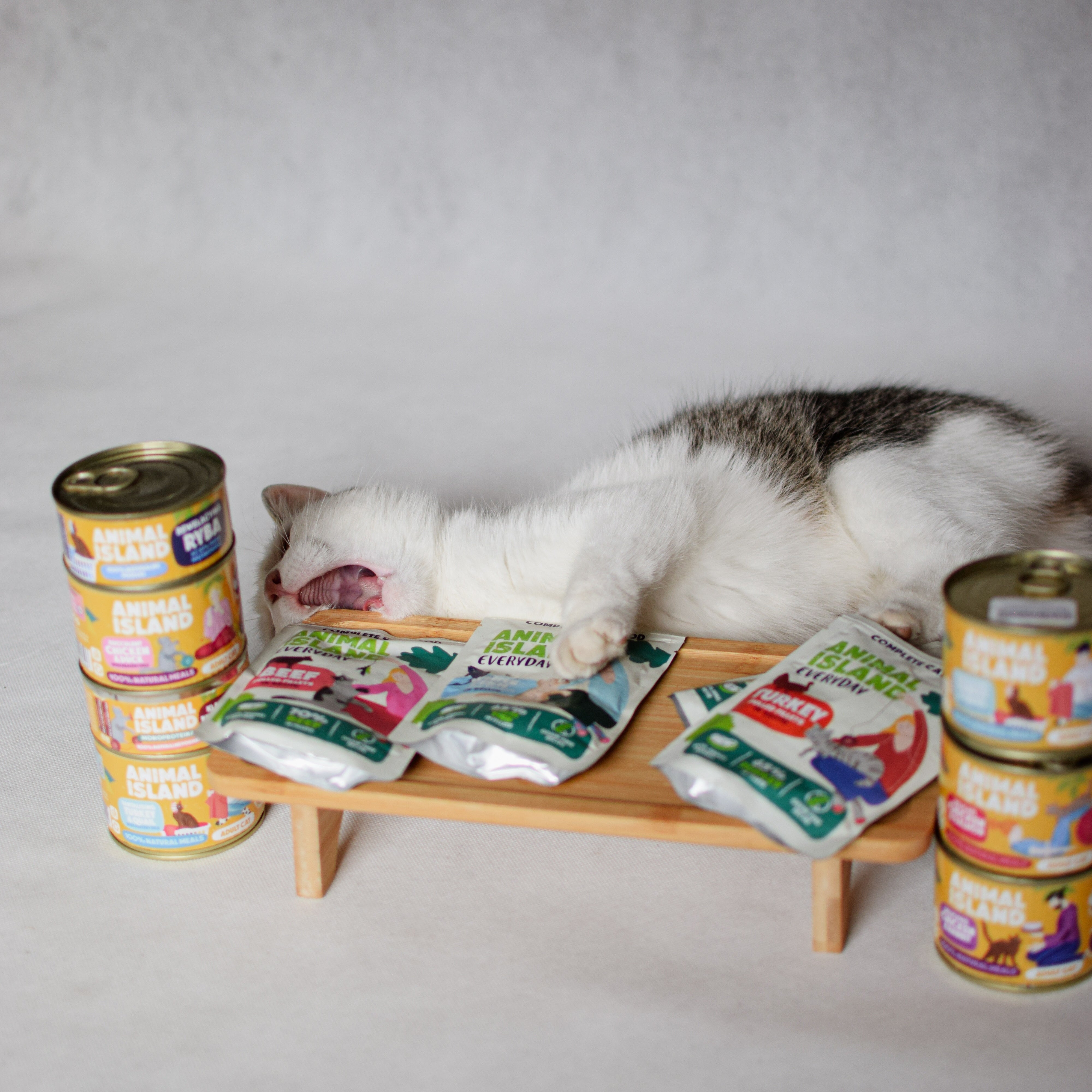 Вологий корм для котів з качкою 12x100 г Монопротеїн