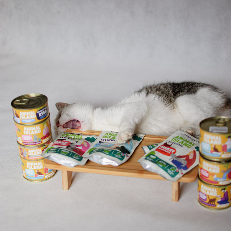 Mokra karma dla Kota kaczka 12x100g Monoproteina