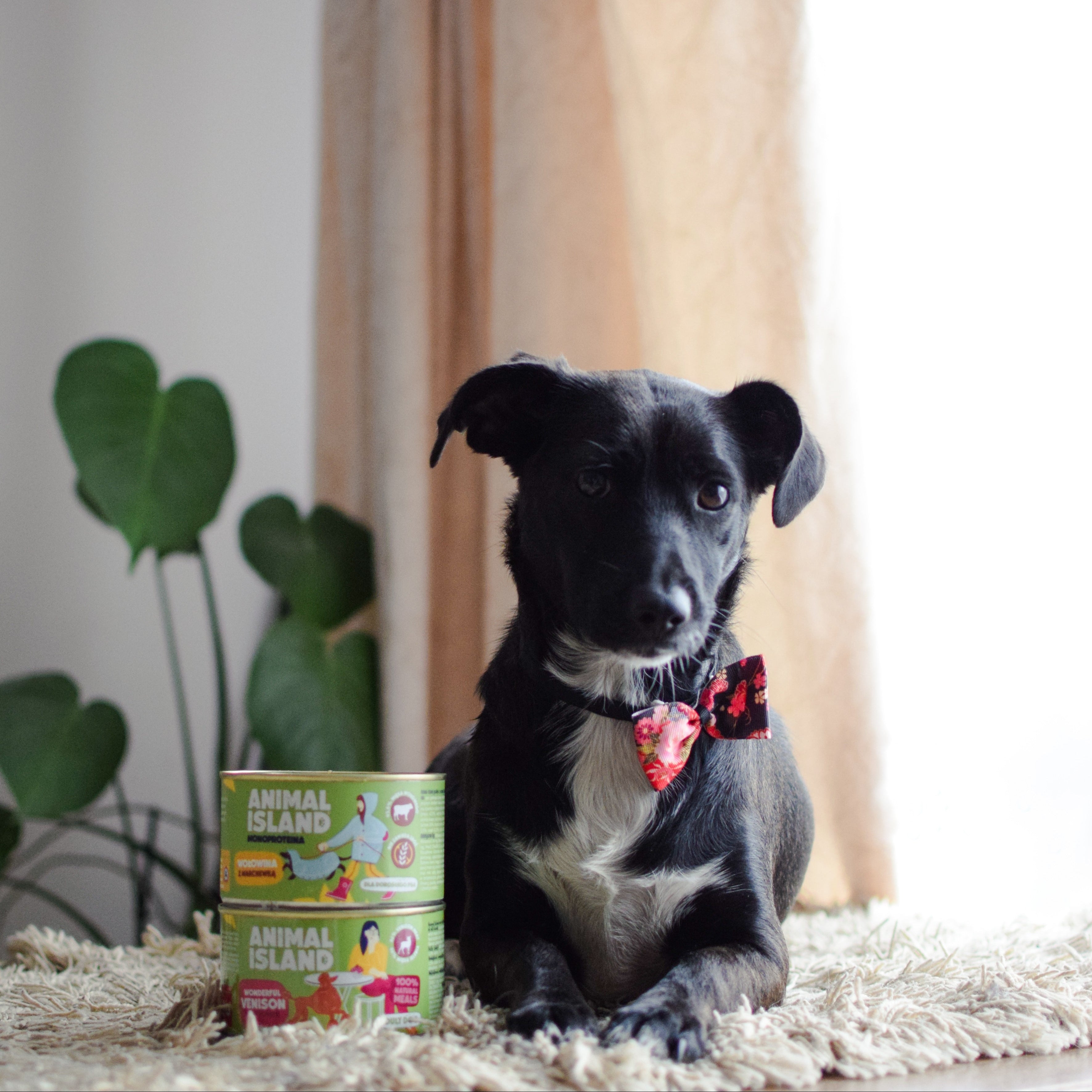 Вологий корм для собак Deer з картоплею 12x410 г