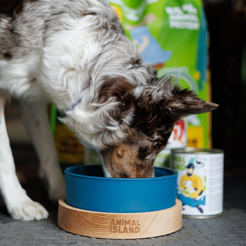 Dog bowl, size M 1300ml, Deep Sea Blue, Animal Island