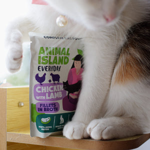 Mokra Karma dla Kota 85g (12szt) Fileciki w Rosole - Kurczak/Jagnięcina