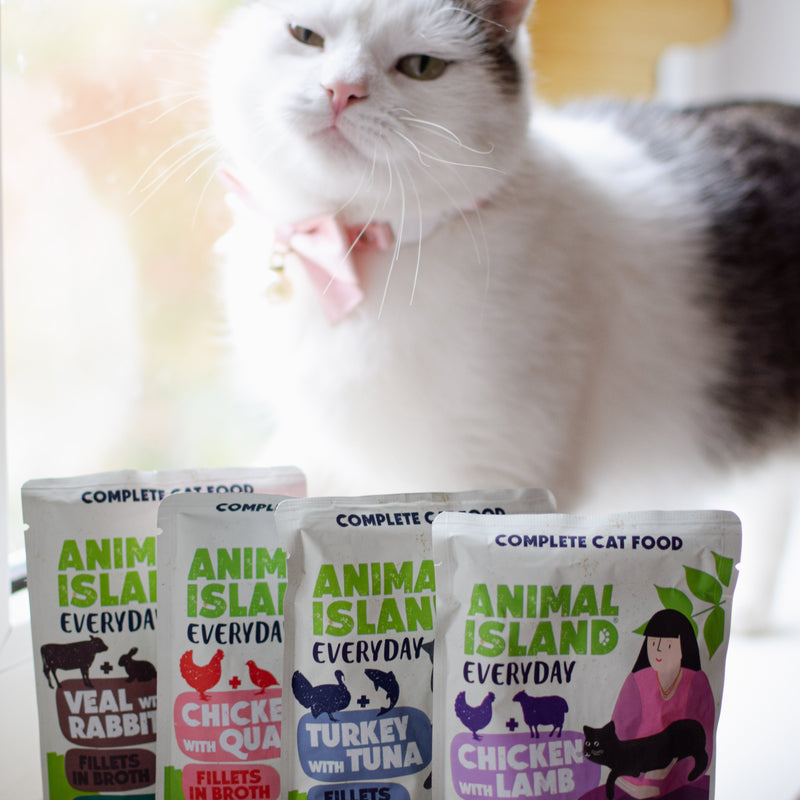 ,,WSPRACIE UKŁADU MOCZOWEGO''- Pełnowartościowy Dzień+ GRATIS