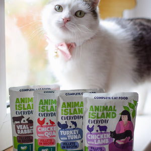 ,,BEZ KURCZAKA''- Kocia Uczta Duo +  GRATIS!