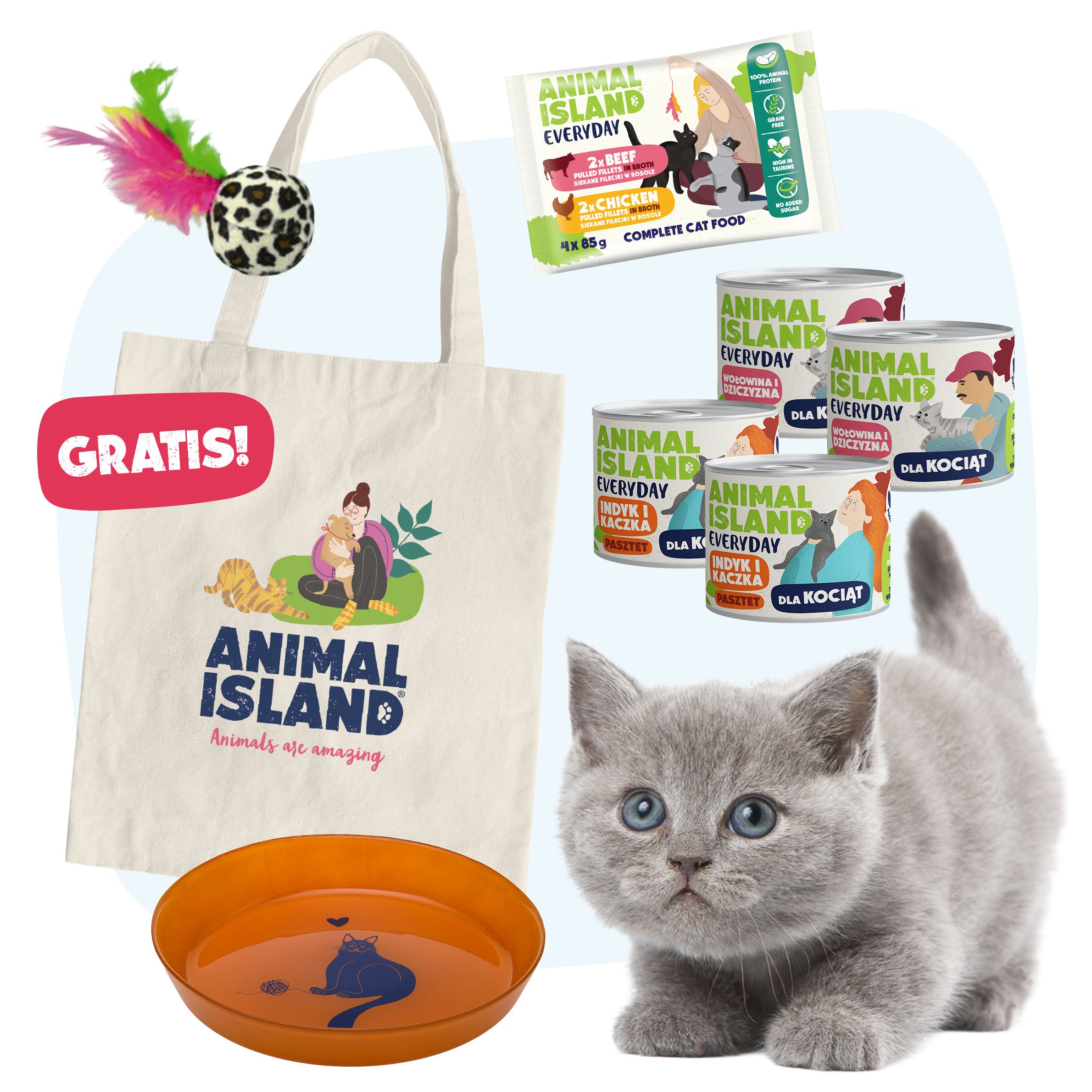 Małe Łapki - Koci Starter + PREZENTY!