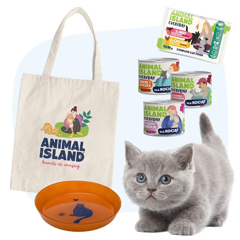 Małe Łapki - Koci Starter + PREZENT