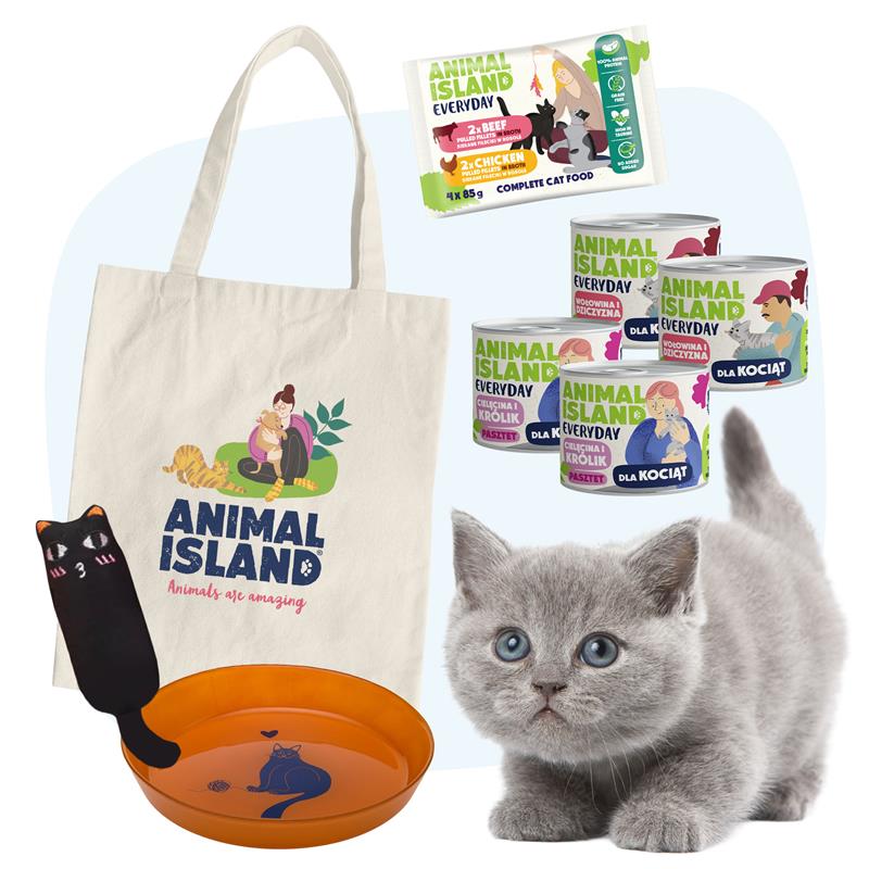 Małe Łapki - Koci Starter + PREZENT