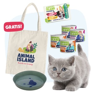 Małe Łapki - Koci Starter + PREZENTY!