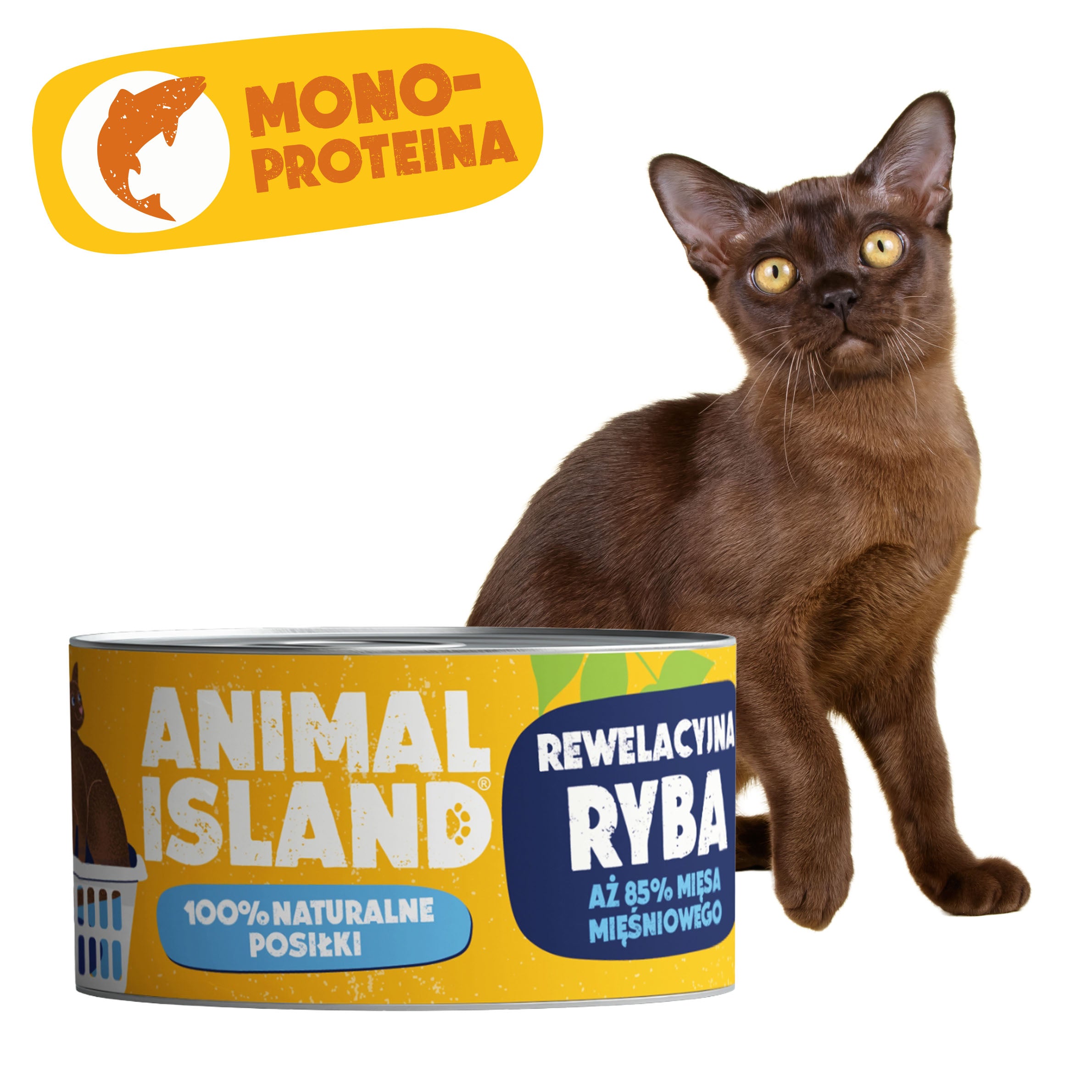 Вологий корм для котів з рибою 100 г монопротеїну