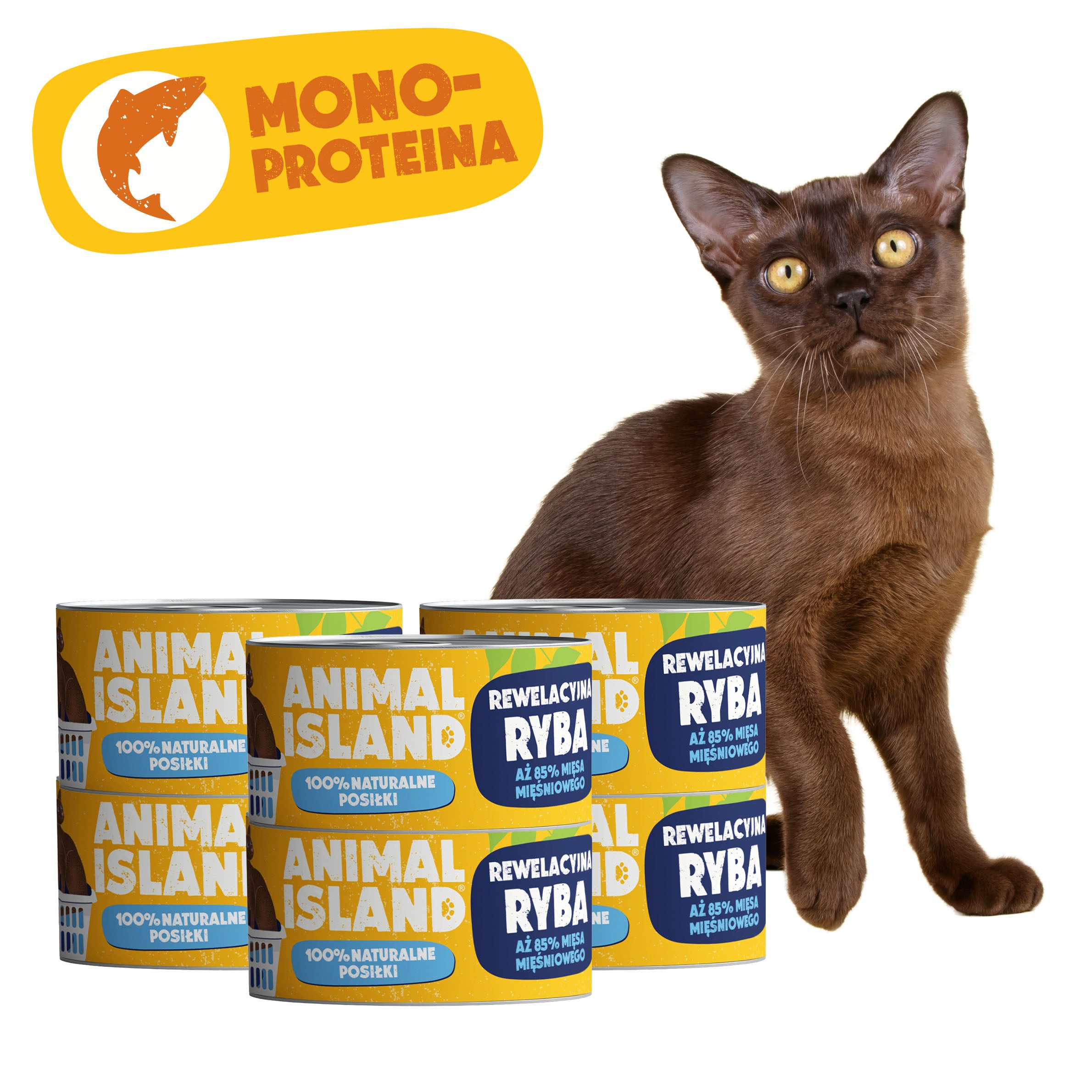 Mokra karma dla Kota ryba 6x100g Monoproteina