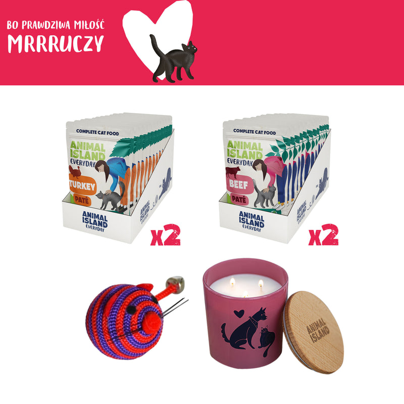 Zestaw LOVE Box dla kota - saszetki pasztet 2x (12szt indyk / 12szt wołowina, 48 szt.)